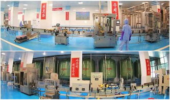 海鮮醬包裝新趨勢 星火食品包裝機械以創新驅動行業發展