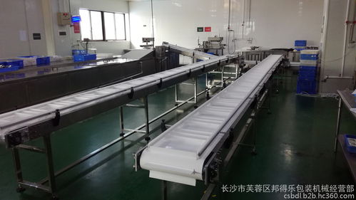 食品廠專用包裝輸送線定制解決方案 從紅燒排骨湯料到各類產品的全流程輸送