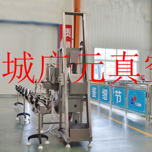 榨菜全自動(dòng)真空整平機(jī)——諸城廣元包裝機(jī)械廠的專業(yè)制造