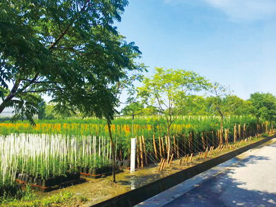 上海市林木種子生產經營許可證的管理研究及農副產品銷售協同發展