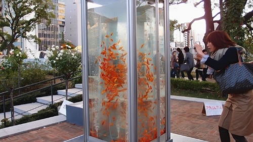 牛人改造廢棄電話亭，變身金魚水族箱引網友驚嘆 這個創意我給滿分！